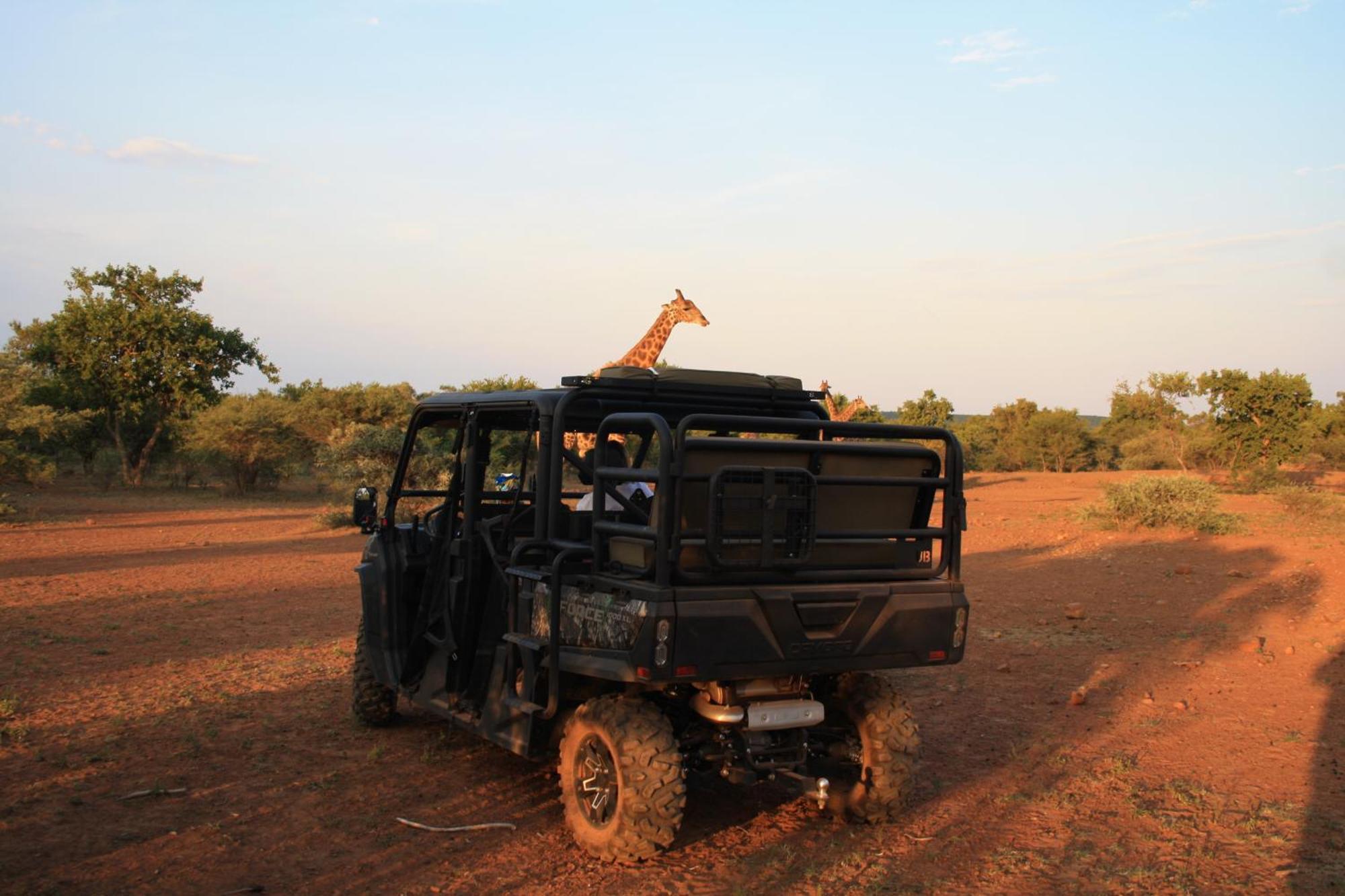 Mologa River Lodge Rust de Winter Exterior foto