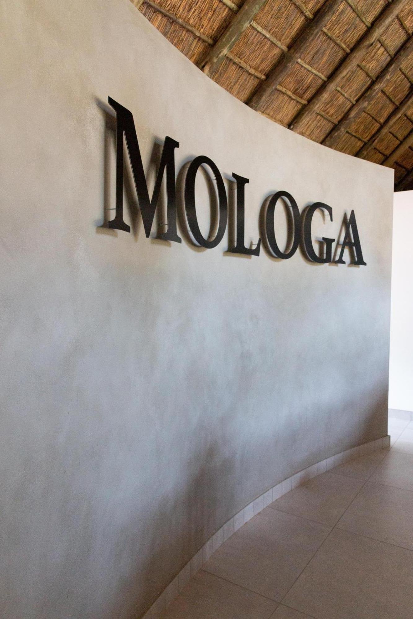 Mologa River Lodge Rust de Winter Exterior foto